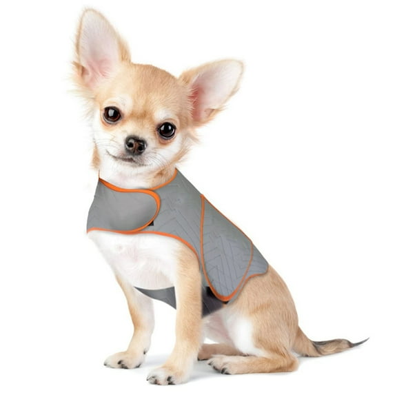 Forievic Dog Anxiety Jacket, XX Small, Platinum Sport - Dog Anxiety Relief Calming Vest