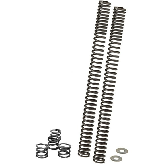 Fork Spring Kit