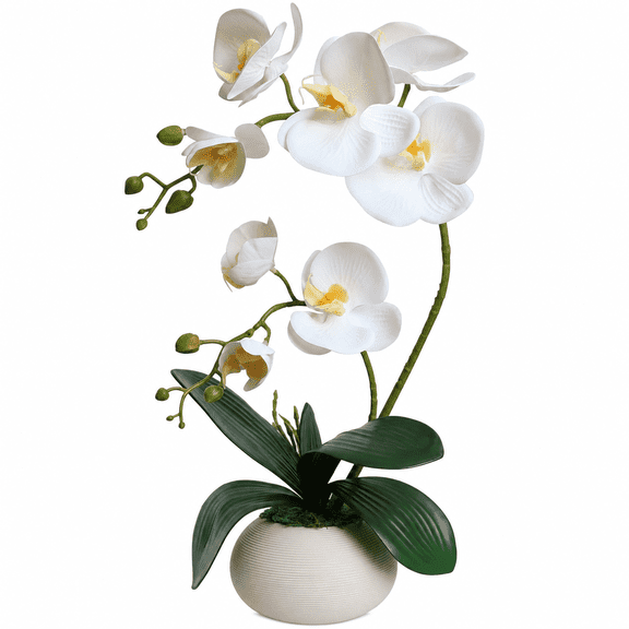 Tall 13.77" White Real Touch Orchid Artificial Flowers with Vase Fake Orchids Silk Floral for Home Decor Indoor Bathroom Decoration Potted Office Table Top Centerpieces Arrangements