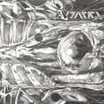 thumbnail image 1 of Autarkh - Form In Motion - Music & Performance - Vinyl, 1 of 2