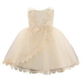 thumbnail image 1 of Formal Dress for Girls Yellow Dress Tulle Dress Toddler Girls Formal Dress Girls Carnival Outfit 0-3M, 1 of 3