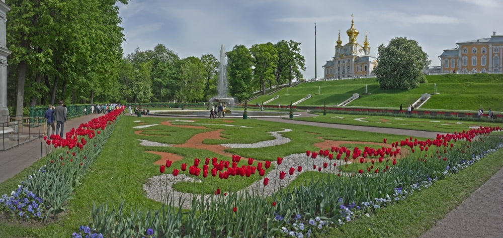 Formal garden in front of a Church of Peterhof Grand Palace Petrodvorets St Petersburg Russia Canvas Art - Panoramic Images (36 x 12)
