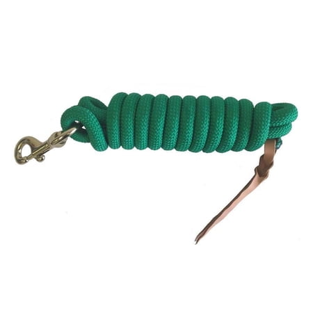 Formay 10 Foot Nylon Lead Rope Green