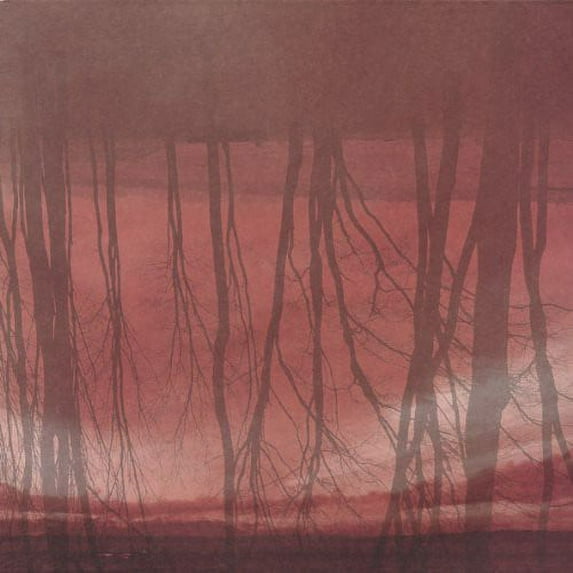 Former Thieves - Language That We Speak - Vinyl