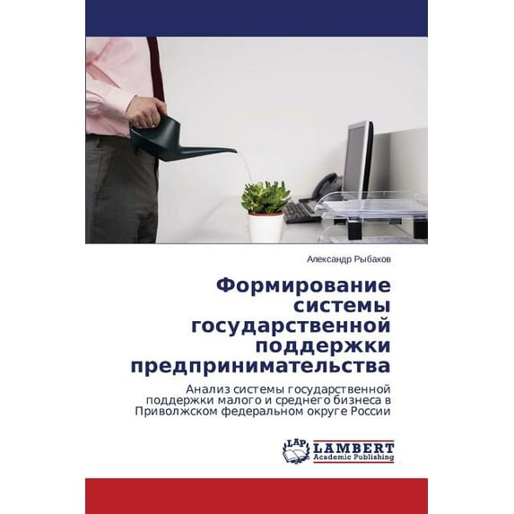 Formirovanie sistemy gosudarstvennoy podderzhki predprinimatel'stva (Paperback)