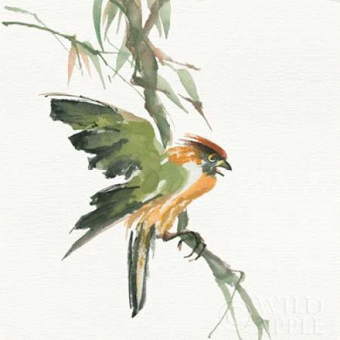 Formosan Firecrest Canvas Art - Chris Paschke (24 x 24)