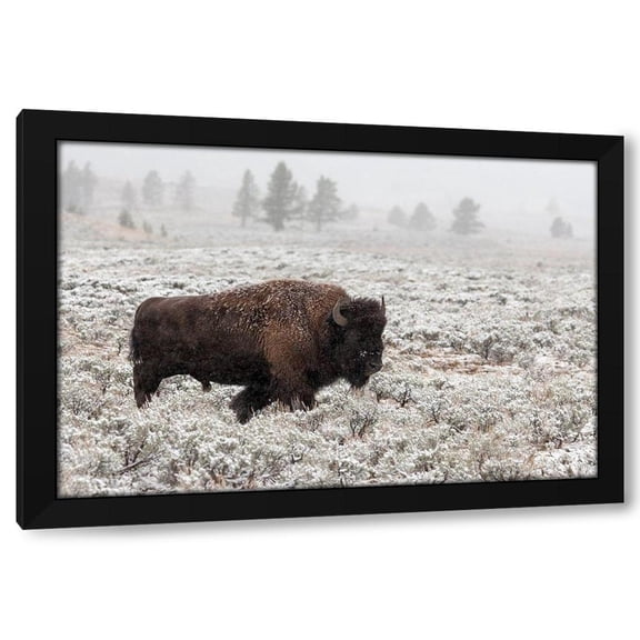 Forms 14x11 Black Modern Wood Framed Wall Art Titled - Late Fall Yellowstone