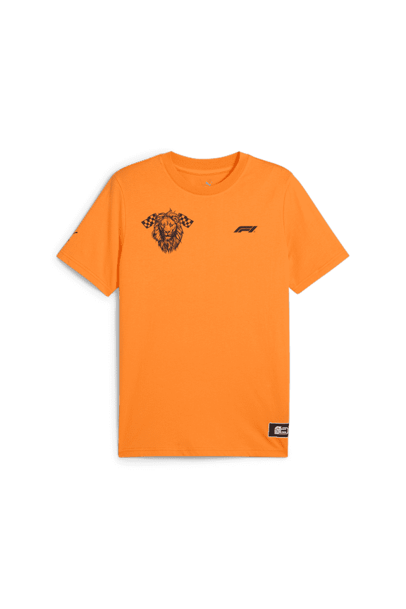 Tech Collection F1 Zandvoort GP Men's Graphic T-Shirt- Orange
