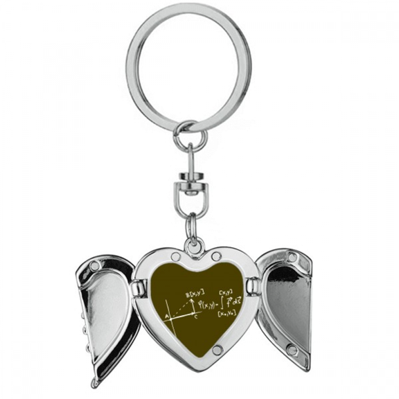 Formula Function High Plane Heart Angel Wing Key Chain Holder