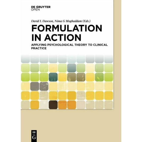 Formulation in Action (Hardcover)