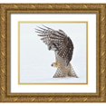 thumbnail image 1 of Forns, Alfred 13x12 Gold Ornate Wood Framed with Double Matting Museum Art Print Titled - Pouncing !!!!, 1 of 4