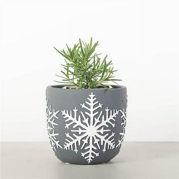 Forpost FP-CNP-201 Gray with White Snowflake Planter