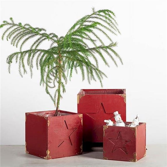 Forpost FP-JLS-073 Red with Star Decorative Boxes - Set of 3