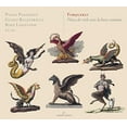 thumbnail image 1 of Forqueray / Pandolfo / Balestracci / Lislevand - Antoine Forqueray & Jean-Baptiste Forqueray - Music & Performance - CD, 1 of 3