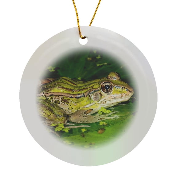 3drose, Forrers Grass Frog, Forrers Leopard Frog, Costa Rica, Circle Porcelain Ornament