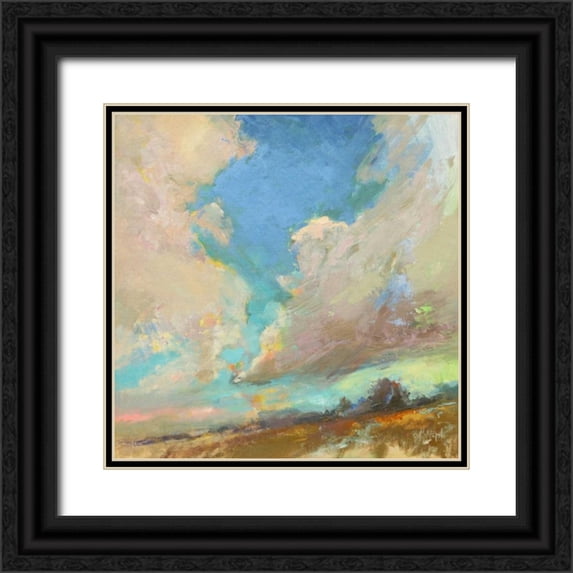 Forst, Beth A. 12x12 Black Ornate Wood Framed with Double Matting Museum Art Print Titled - Clouds Got in My Way