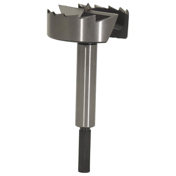 Forstner Bit 3 Inch, Steel Hex Shank Drill Bit Set, Precision Ground Woodworking Hole Saw for Flat Bottom Holes, Veneer, Clock Mounting