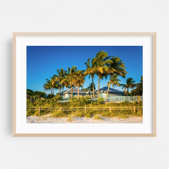 Fort Myers Palm Trees - Fort Myers Florida Photography Beach House Palm Tree Tropical Coastal Beach Landscape Summer Oak Framed Wall Art Print 5 x 7 inches