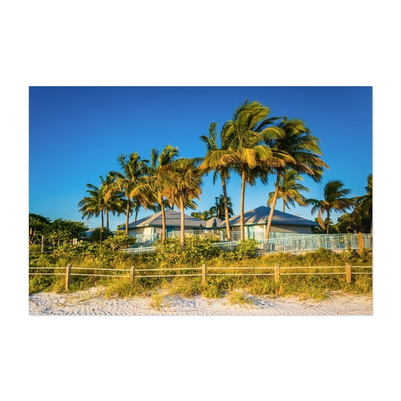 Fort Myers Palm Trees - Fort Myers Florida Photography Beach House Palm Tree Tropical Coastal Beach Landscape Summer Unframed Wall Art Print 20 x 28 inches