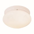 thumbnail image 1 of Forte Lighting 6003-3 Functional Flushmount Ceiling Fixture From The Close To Ceiling, 1 of 1