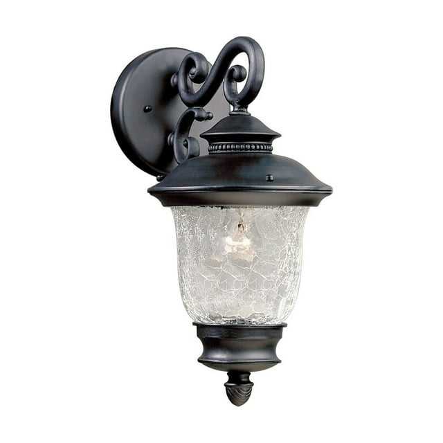 Forte Lighting - Holloway - 1 Light Outdoor Wall Lantern-14 Inches Tall and 7