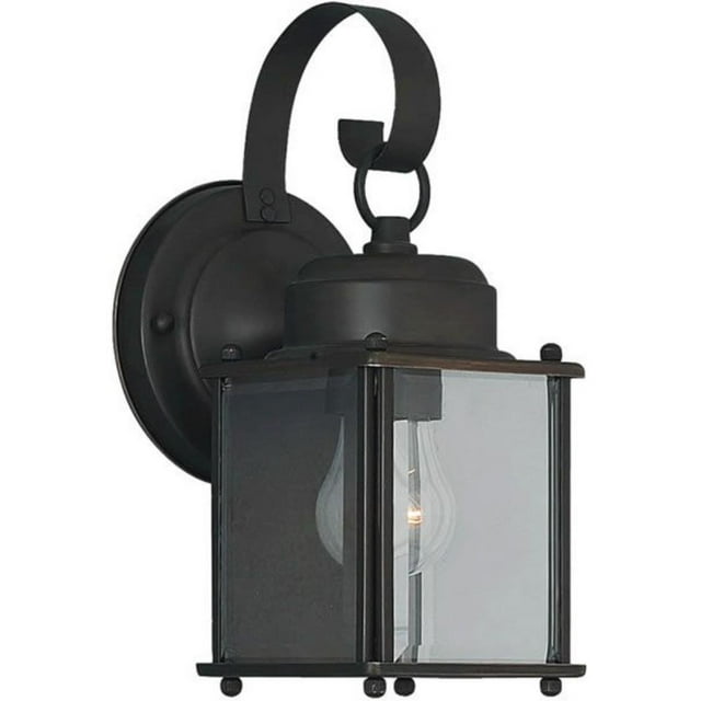 Forte Lighting - Remo - 1 Light Outdoor Wall Lantern-11 Inches Tall and 4.5