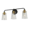 thumbnail image 1 of Forte Lighting - Ronna - 3 Light Bath Vanity In Transitional Style-12 Inches, 1 of 2