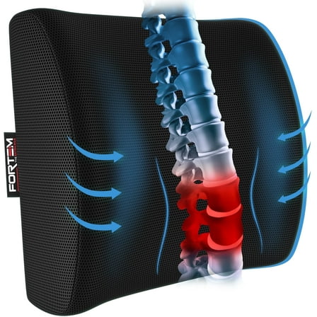 FORTEM Lumbar Support Cushion, Back Support For Office Chair and Car Seat, Back Rest for Gaming Chair, Memory Foam Pillow, Desk Chair Cushion, Breathable & Washable Cover, Adjustable Straps