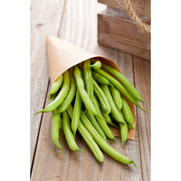 Sherwood's Seeds 20 Fortex Vining French Green Bean Plant Seeds