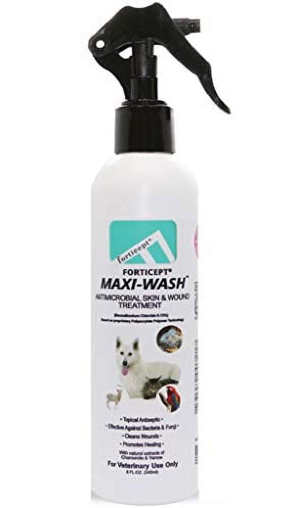 Antiseptic cleanser for dogs top