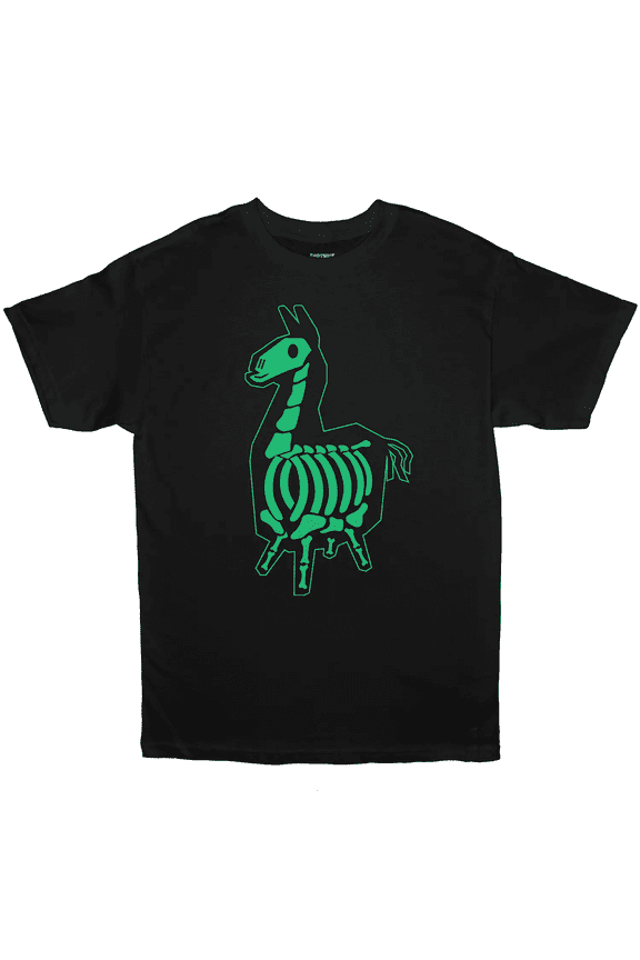 Boys X-Ray Llama Graphic T-Shirt, Sizes 8-20