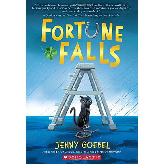 Pre-Owned Fortune Falls (Other Fiction) Paperback