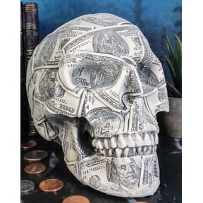 Fortune Lottery Benjamin Franklins Bank C-Note Money Bill Prints Skull Figurine