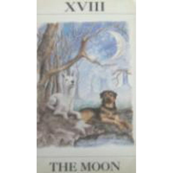 Fortune Teller Card Moon (ONE)