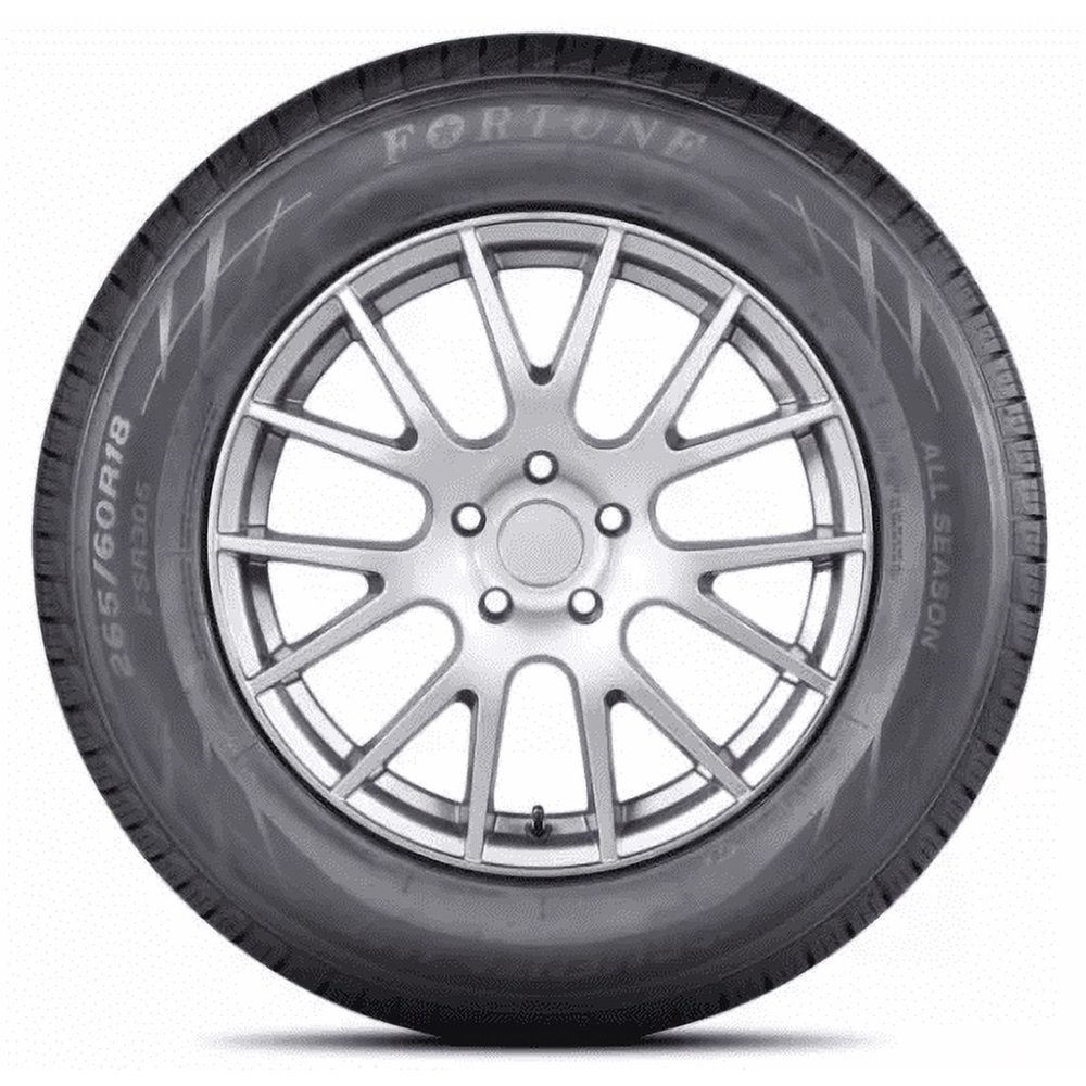 Fortune Tormenta H/T FSR305 Highway 245/55R19 103V Passenger Tire Fortune Tormenta H/T FSR305 Highway 245/55R19 103V Passenger Tire Sansujyuku sansujyuku.com