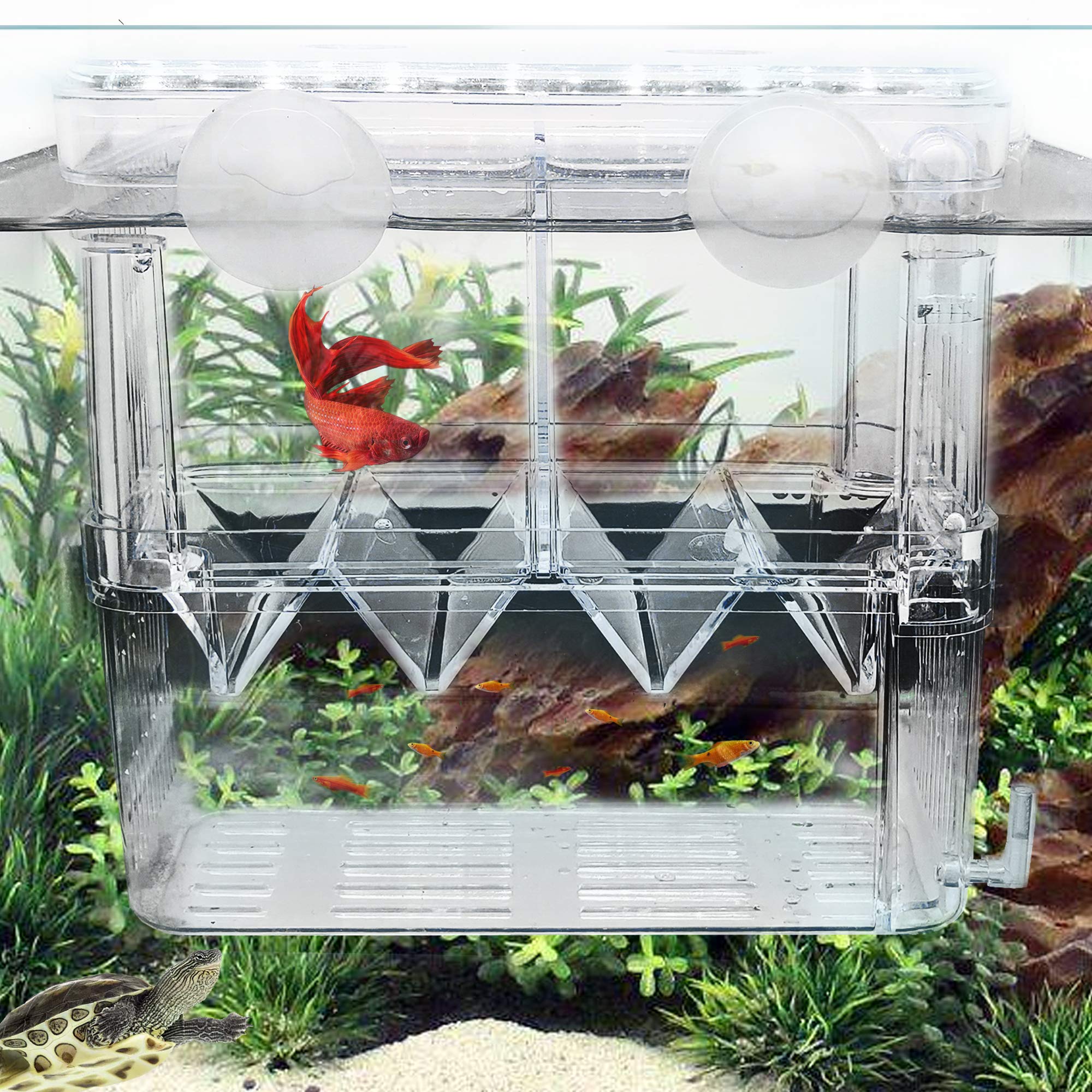 Fortunestar Fish Breeding Box Aquarium Fish Tank Hatchery Incubator Breeder Box Fish Breeding
