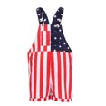 thumbnail image 1 of Fortwear American Flag Overalls for Teens, Men's American Flag Overalls, USA Denim Bibs, Coveralls, 4th of July Jumpsuit, 250th Anniversary, 1 of 10
