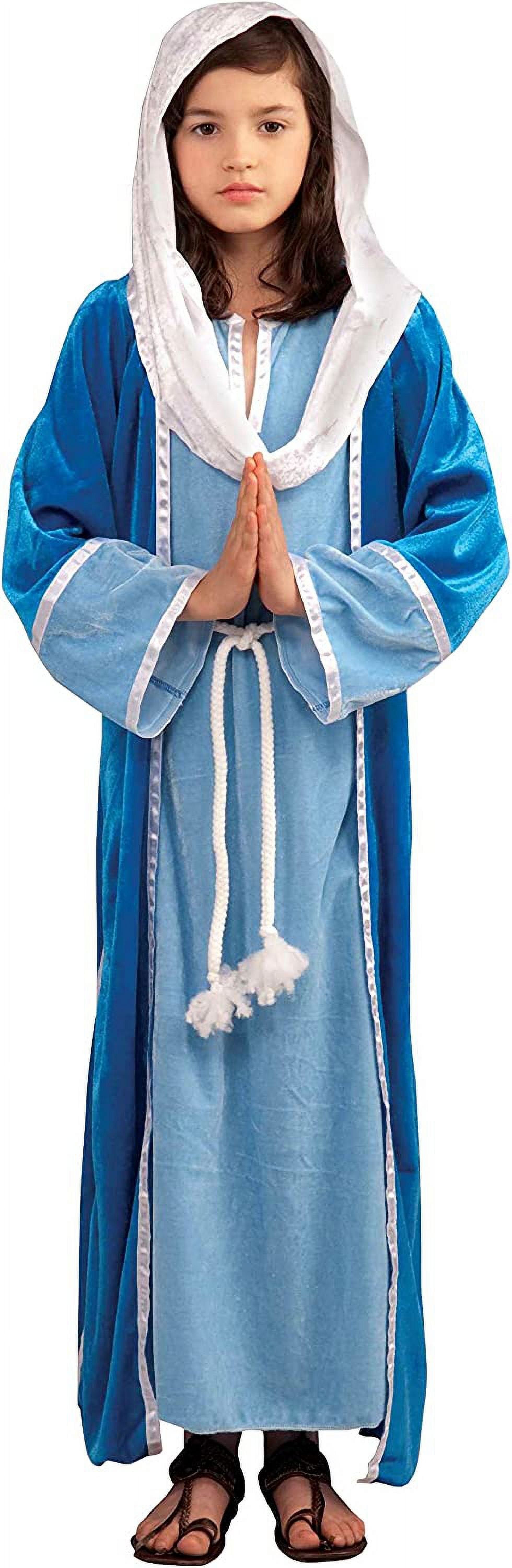 Forum Novelties Biblical Times Deluxe Mary Costume, Child Large - image 1 of 3