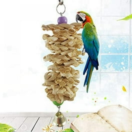 Dinosam 6 PCS Colorful Bird Toys Safe for Parakeets Cockatiels Parrots Finches Cage Toy Walmart