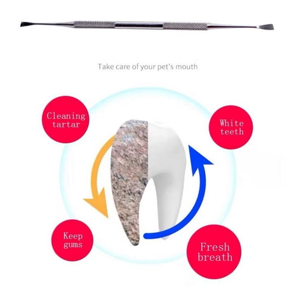 Forzero Stainless steel double-head dental calculus removal tool scaler for dogs and cats