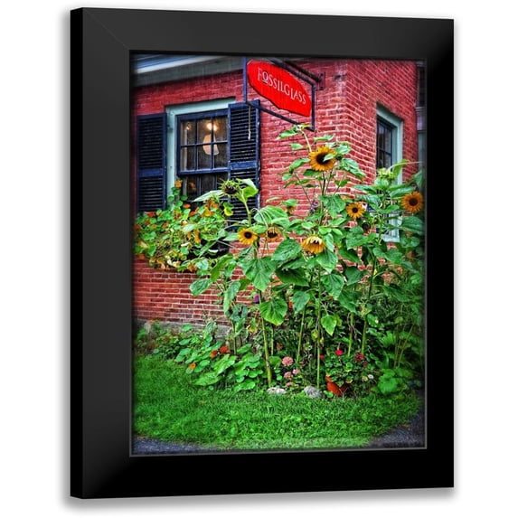 Foschino, Suzanne 11x14 Black Modern Framed Museum Art Print Titled - Country Store Sunflowers