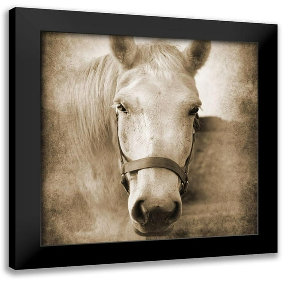 Foschino, Suzanne 12x12 Black Modern Framed Museum Art Print Titled - Good Boy