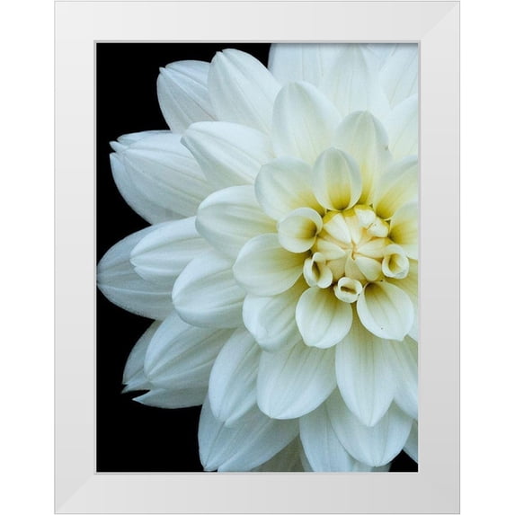 Foschino, Suzanne 12x14 White Modern Wood Framed Museum Art Print Titled - White Dahlia 5