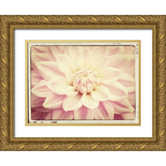 Foschino, Suzanne 18x14 Gold Ornate Wood Framed with Double Matting Museum Art Print Titled - Pink Dahlia 6A Vintage