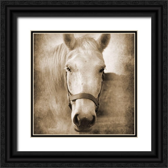 Foschino, Suzanne 20x20 Black Ornate Wood Framed with Double Matting Museum Art Print Titled - Good Boy