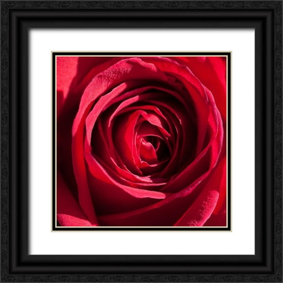 Foschino, Suzanne 26x26 Black Ornate Wood Framed with Double Matting Museum Art Print Titled - Rose 4