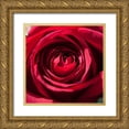 thumbnail image 1 of Foschino, Suzanne 26x26 Gold Ornate Wood Framed with Double Matting Museum Art Print Titled - Rose 2, 1 of 4