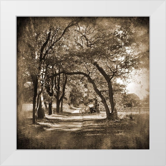 Foschino, Suzanne 26x26 White Modern Wood Framed Museum Art Print Titled - Dirt Road