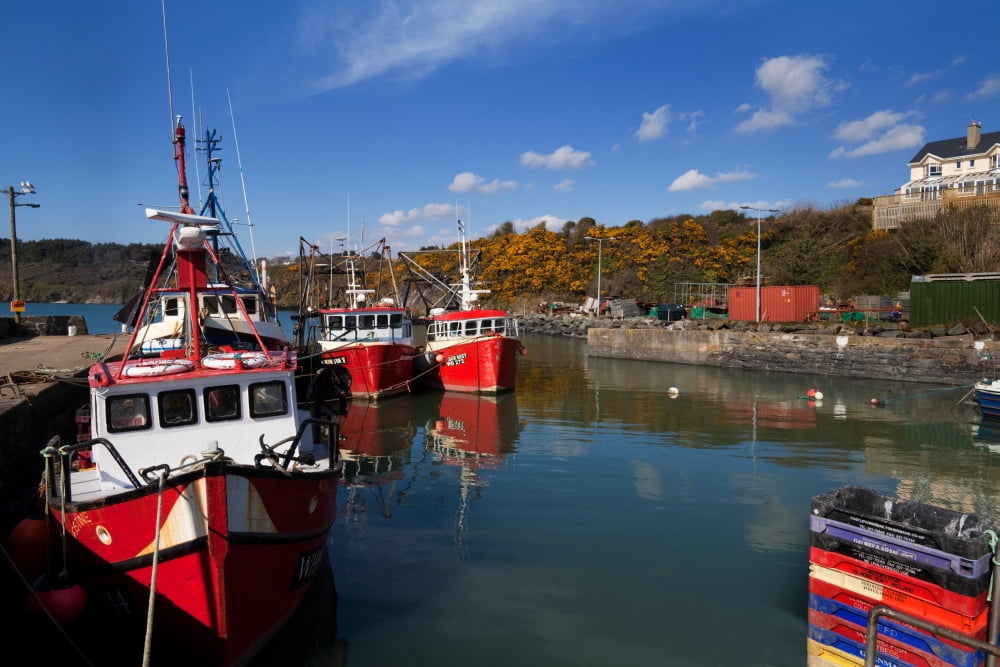 Foshing Boats in the Harbour Duncannon County Wexford Ireland Canvas Art - Panoramic Images (36 x 12)