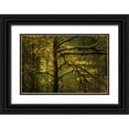 thumbnail image 1 of Fossati, Enrico 24x17 Black Ornate Wood Framed with Double Matting Museum Art Print Titled - Golden Drops, 1 of 4